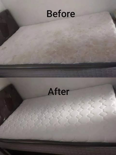 jasa cuci springbed gresik